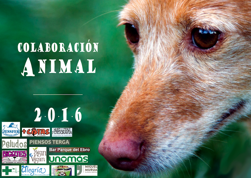 Calendario 2016 Colaboración Animal